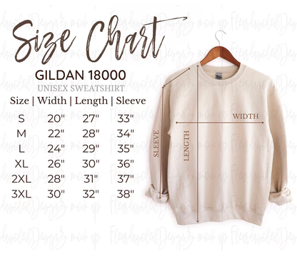 Let's Go Pennant in Grey Sweatshirt