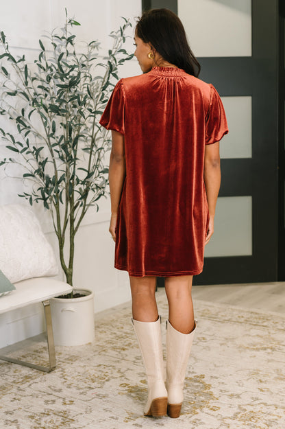 Damsel in This Velvet Dress