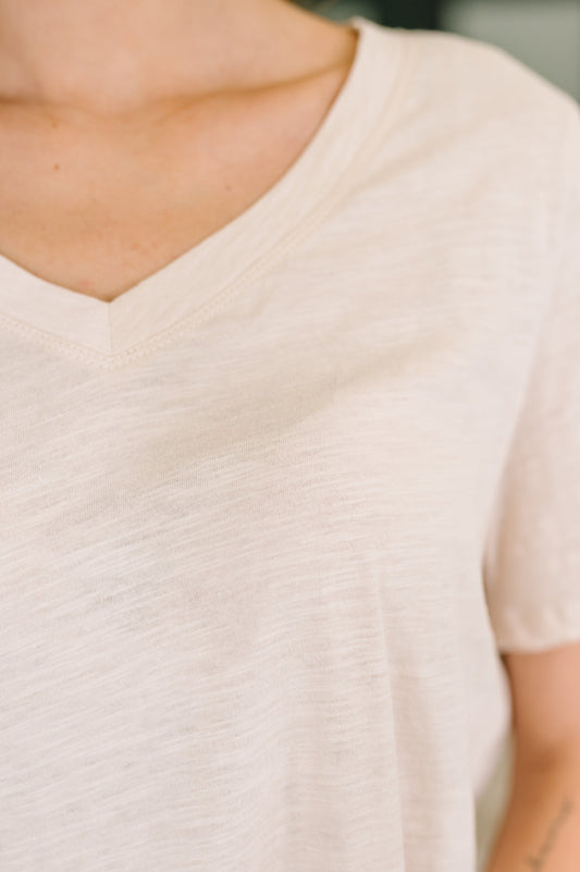 I Don't Have to Choose V-Neck Tee in Oatmeal